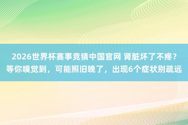 2026世界杯赛事竞猜中国官网 肾脏坏了不疼？等你嗅觉到，可能照旧晚了，出现6个症状别疏远