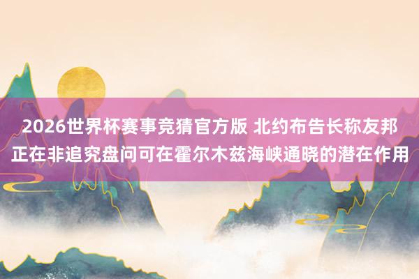 2026世界杯赛事竞猜官方版 北约布告长称友邦正在非追究盘问可在霍尔木兹海峡通晓的潜在作用