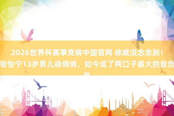2026世界杯赛事竞猜中国官网 徐威没念念到！张怡宁13岁男儿徐俏俏，如今成了两口子最大的自负