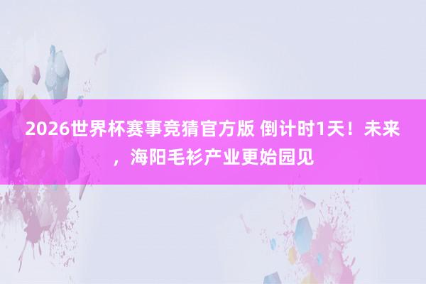 2026世界杯赛事竞猜官方版 倒计时1天！未来，海阳毛衫产业更始园见