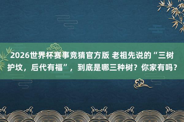 2026世界杯赛事竞猜官方版 老祖先说的“三树护坟，后代有福”，到底是哪三种树？你家有吗？