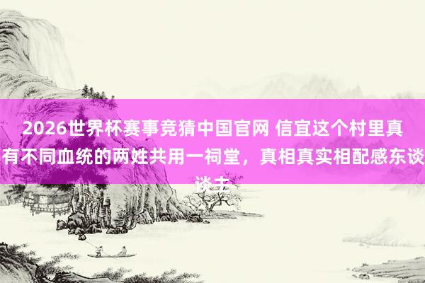 2026世界杯赛事竞猜中国官网 信宜这个村里真实有不同血统的两姓共用一祠堂，真相真实相配感东谈主