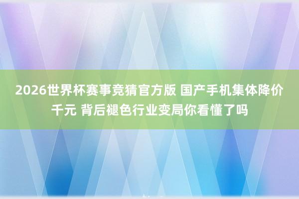 2026世界杯赛事竞猜官方版 国产手机集体降价千元 背后褪色行业变局你看懂了吗