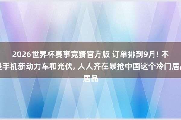 2026世界杯赛事竞猜官方版 订单排到9月! 不是手机新动力车和光伏， 人人齐在暴抢中国这个冷门居品