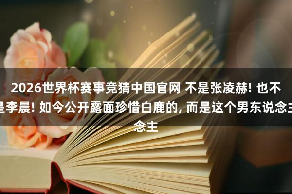 2026世界杯赛事竞猜中国官网 不是张凌赫! 也不是李晨! 如今公开露面珍惜白鹿的， 而是这个男东说念主
